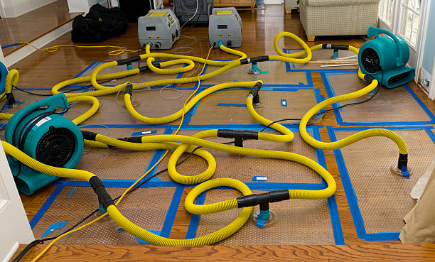 Professional Crawl Space Water Removal technician working in Victoria, VA